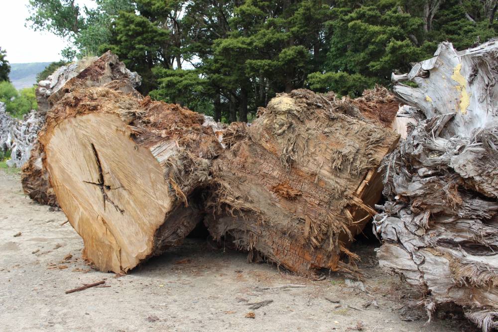 Un processus de fabrication écologique